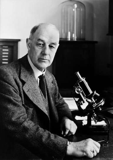 Dr Charles Morley Wenyon (1945–1947)