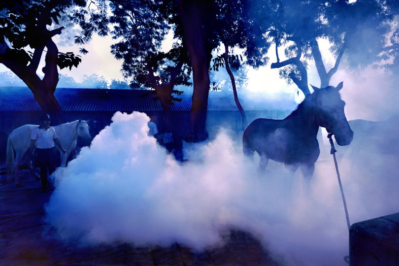 © Sourav Karmakar An NGO worker uses a fogging treatment in a stable to reduce dengue and other mosquito-transmitted diseases in New Delhi, India.