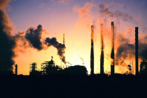 Climate crisis was found by respondents as most pressing global health challenge © Ashley Williams Climate crisis was found by respondents as most pressing global health challenge © Ashley Williams