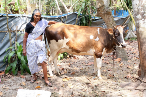 LF patient with the cow that she bought with the seed money provided by the Vocational Rehabilitation Program LF patient with the cow that she bought with the seed money provided by the Vocational Rehabilitation Program