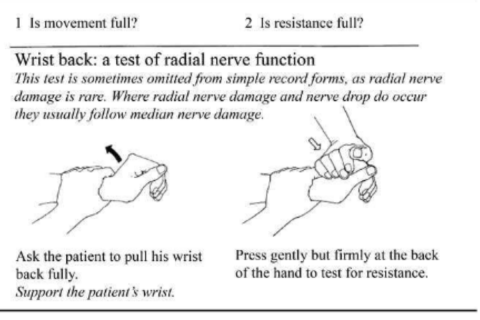 Wrist back test - line drawing by Jean Watson (Essential Action to Minimize Disability in Leprosy Patients, Jean M Watson, second edition,1994) Wrist back test - line drawing by Jean Watson (Essential Action to Minimize Disability in Leprosy Patients, Jean M Watson, second edition,1994)