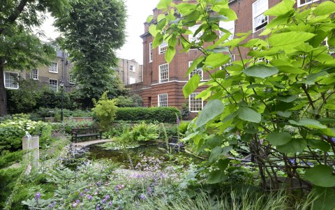 British Medical Association Garden in central London