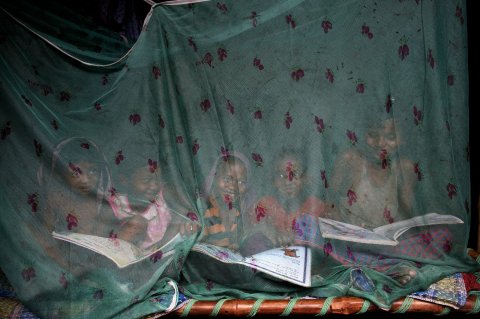 Fighting with Malaria. Children enjoy a summer afternoon sitting inside a mosquito net recently distributed by local health department at a plasmodium falciparum malaria prone area in a remote village in Birbhum, India to prevent mosquito borne diseases. Living far below poverty level these tribal families rarely manage to purchase mosquito net/ repellent resulting to a high death toll in the areas. Credit: Sudipto Das Fighting with Malaria. Children enjoy a summer afternoon sitting inside a mosquito net recently distributed by local health department at a plasmodium falciparum malaria prone area in a remote village in Birbhum, India to prevent mosquito borne diseases. Living far below poverty level these tribal families rarely manage to purchase mosquito net/ repellent resulting to a high death toll in the areas. Credit: Sudipto Das