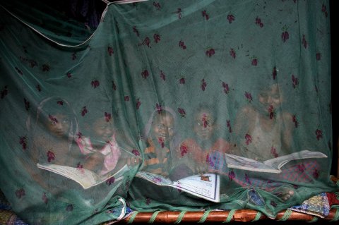 Credit: Sudipto Das Caption: Fighting with Malaria. Children enjoy a summer afternoon sitting inside a mosquito net recently distributed by local health department at a plasmodium falciparum malaria prone area in a remote village in Birbhum, India to prevent mosquito borne diseases. Living far below poverty level these tribal families rarely manage to purchase mosquito net/ repellent resulting to a high death toll in the areas.