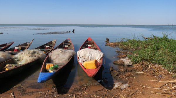 Credit: Stefano Catalano   Caption: “Make Lake Guiers canoeable again”. Near Mbane, Senegal, an area heavily affected by schistosomiasis disease after major infrastructure development and land-use changes at the beginning of the 90s. 